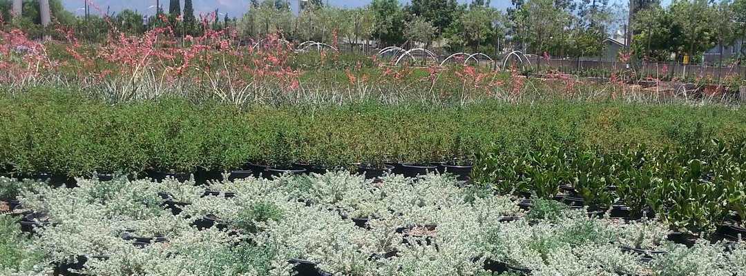 Inventory Hero Background